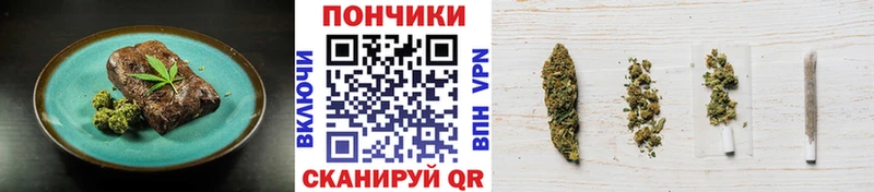 Canna-Cookies марихуана  где продают   Сланцы 
