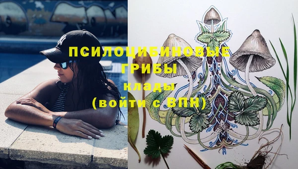 молекула духа Ельня