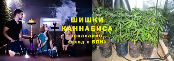 шишки Елабуга