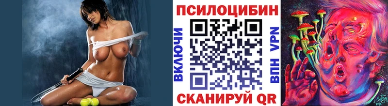 Псилоцибиновые грибы мицелий  Сланцы 