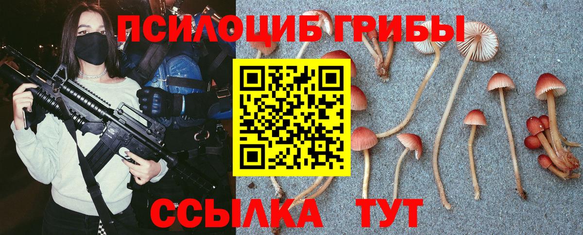Галлюциногенные грибы Cubensis Сланцы