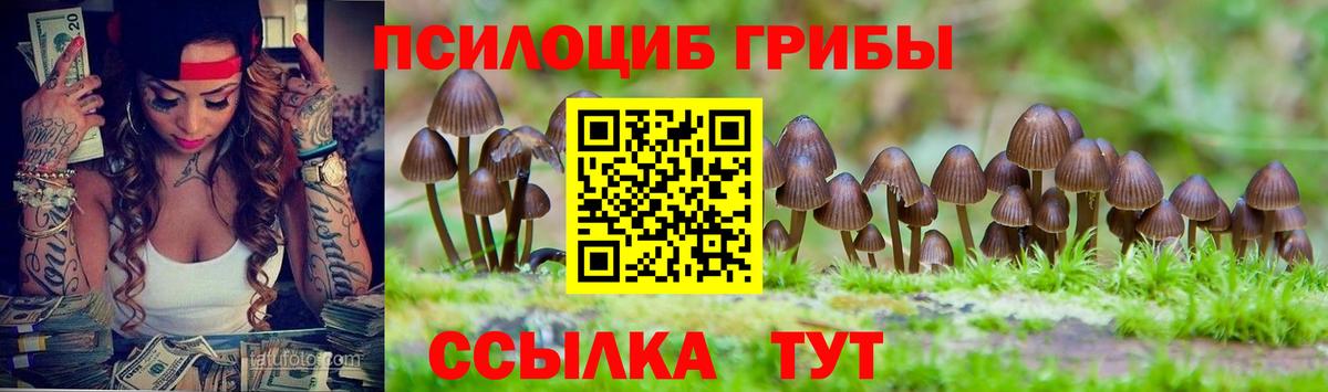 Псилоцибиновые грибы GOLDEN TEACHER  Псилоцибиновые грибы Psilocybe  Вход с VPN  Сланцы 